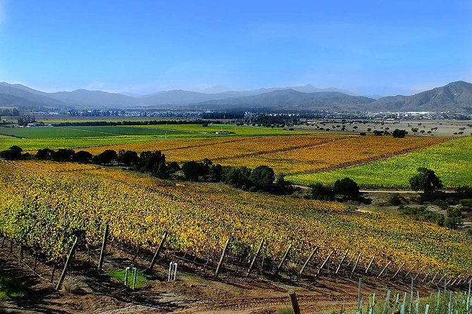 post-cruise-tour-valparaiso-and-winery-drop-off-airport-or-hotel