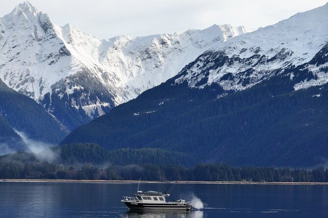 premier-whale-watching-and-wildlife-tour-2