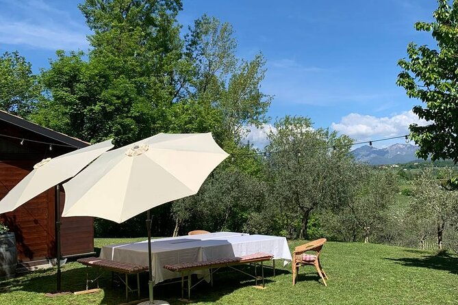 premium-private-prosecco-hills-tour-2-wineries-lunch-included