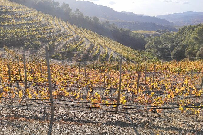 priorat-medieval-priorat-full-day-tour-siurana-and-escala-dei