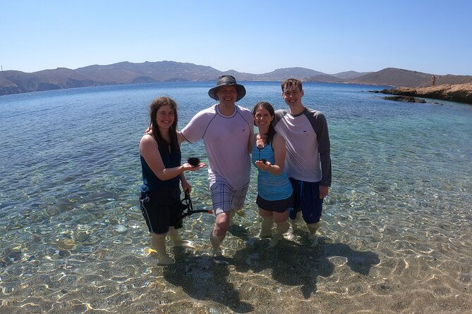 private-1-hour-guided-snorkeling-adventure-with-go-pro-pictures-2