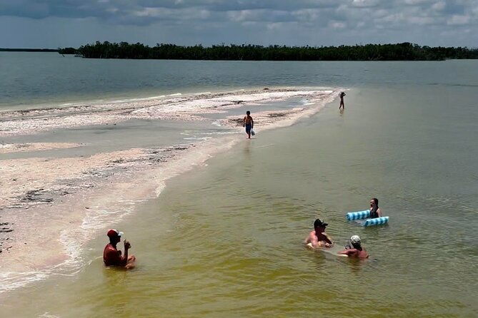 private-2-hour-dolphin-eco-tour-marco-island-fl