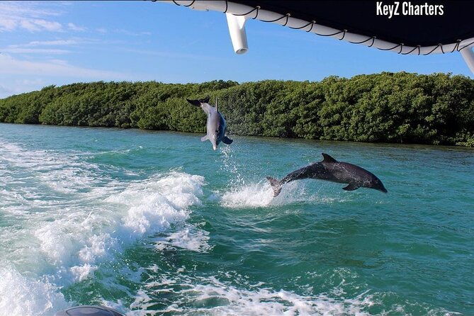 private-2-hour-mangrove-ecotour