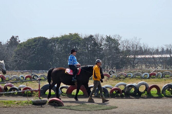 private-2days-tour-a-lot-of-experience-driver-in-jeju-island-2