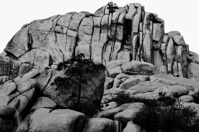 private-36-hour-adventure-in-joshua-tree-national-park