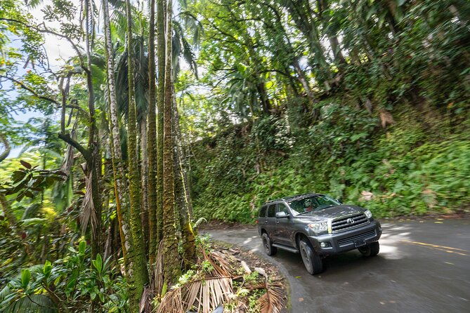 private-all-inclusive-big-island-volcano-waterfalls-tour