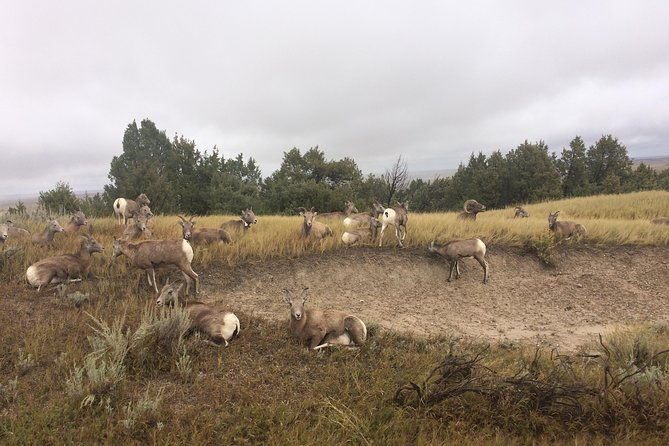 private-badlands-national-park-day-tour
