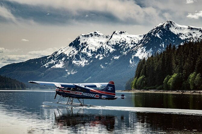 private-bear-viewing-by-seaplane