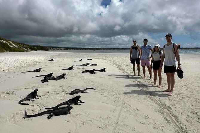 private-charles-darwin-station-tour-tortuga-bay-beach-with-lunch