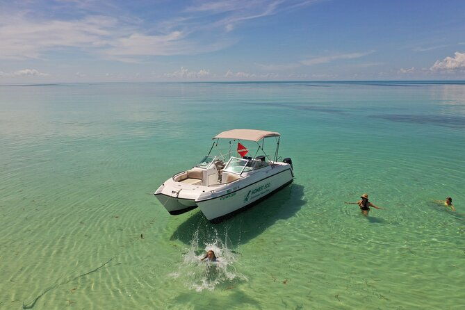 private-charter-6-passenger-sandbar-snorkel-dolphins