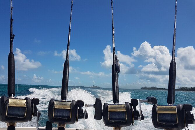 private-charter-for-snorkeling-swimming-pigs-turtles-fishing
