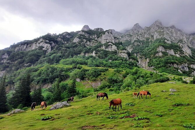private-day-hike-from-brasov-to-malaiesti-cottage