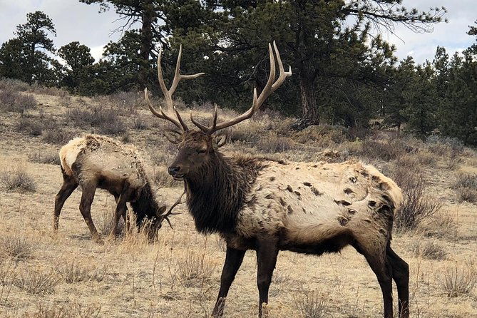 private-day-tour-from-denver-to-estes-park-and-rocky-mountain-national-park