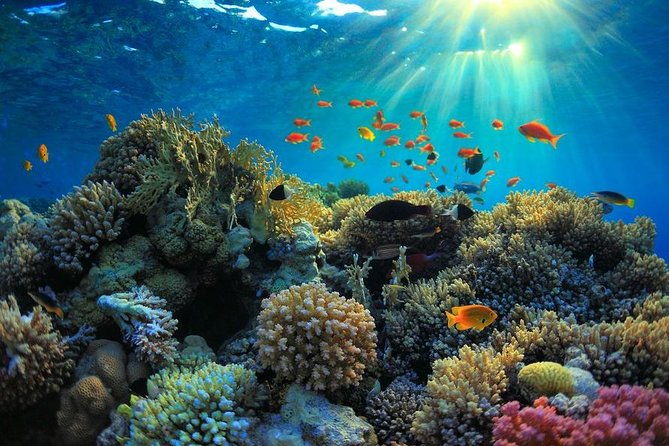 private-day-trip-from-san-jose-to-cahuita-national-park-caribbean-coast