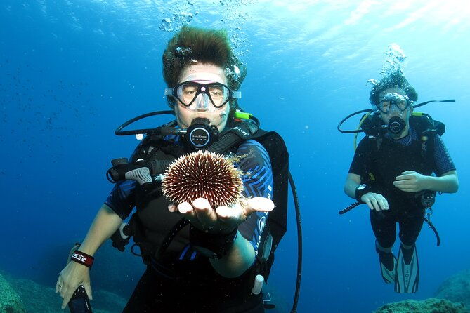 private-discover-scuba-diving-for-beginners-in-athens-with-pickup-2