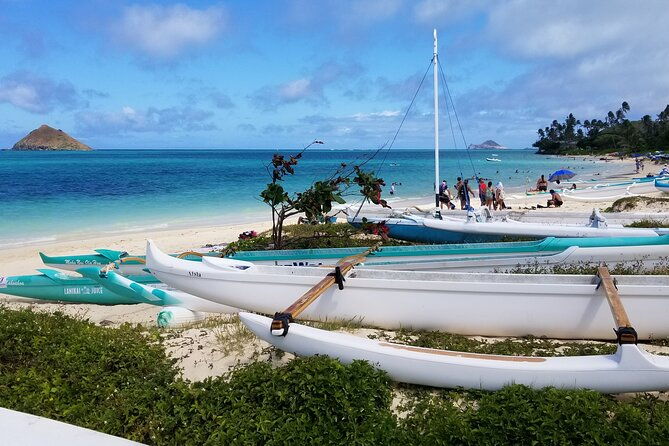 private-dolegarlic-shrimphaleiwanorth-shore-customizable-tour