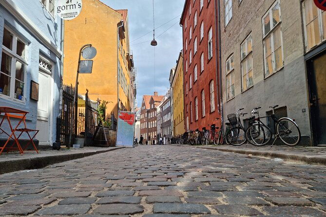 private-e-biking-copenhagen-history-and-nature-adventures