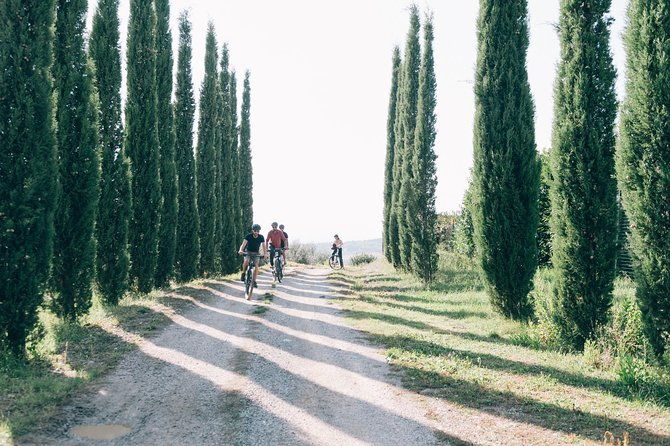 private-ebike-tour-in-chianti