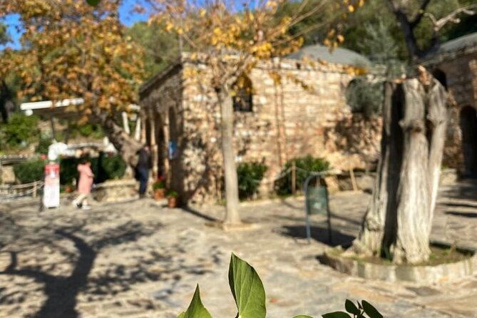 private-ephesus-full-day-tour-from-izmir