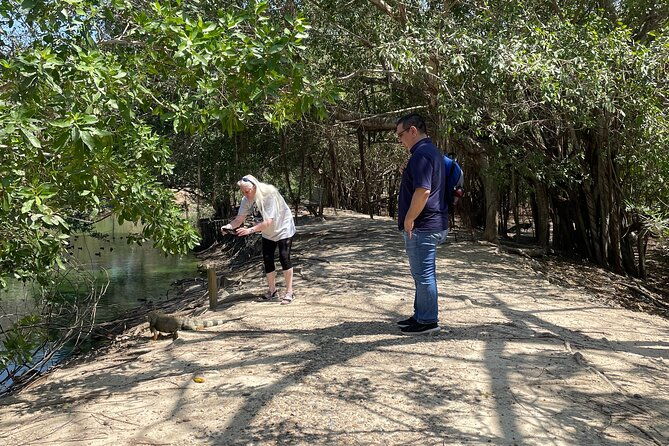 private-experience-at-the-national-aviary-of-colombia