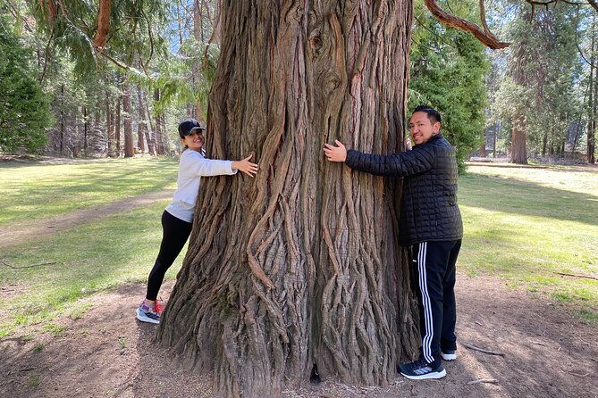 private-family-photo-day-in-yosemite