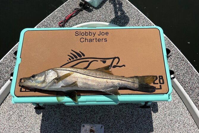 private-fishing-charter-in-tampa