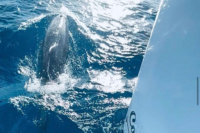 private-full-day-boat-tour-in-st-maarten