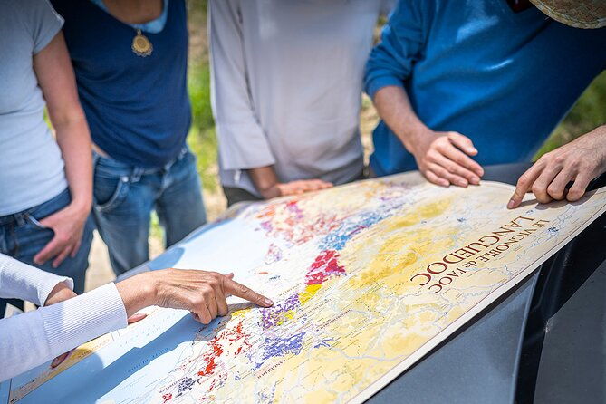 private-full-day-pic-saint-loup-wine-and-olive-tour-with-lunch-from-montpellier-2