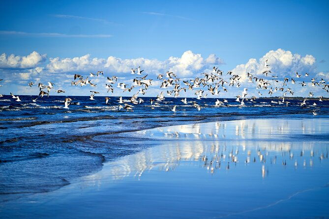 private-full-day-trip-to-jurmala-and-great-kemeri-bog-boardwalk-2