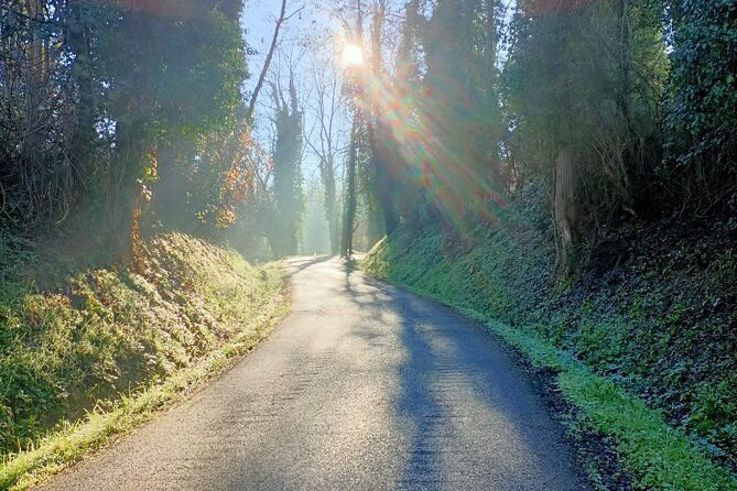 private-guided-e-bike-tour-in-bertinoro