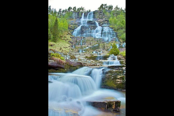 private-guided-tour-highlights-of-norway-trip-to-the-sognefjord-summer