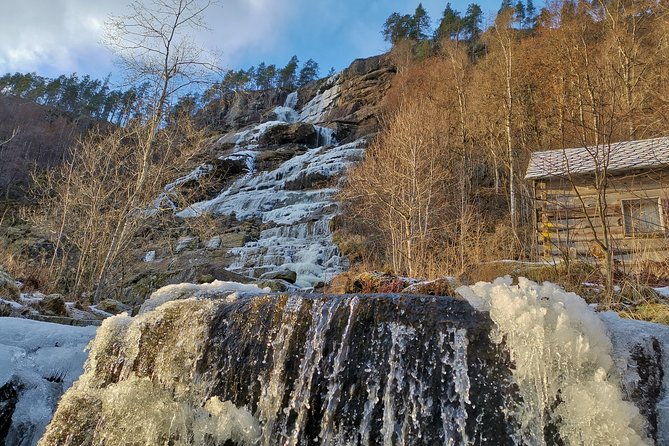 private-guided-tour-norways-highlights-viking-special-11-12-hours-winter