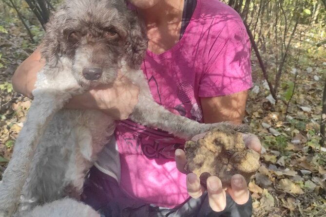 private-guided-truffle-hunting-tour-in-serbia-with-lunch