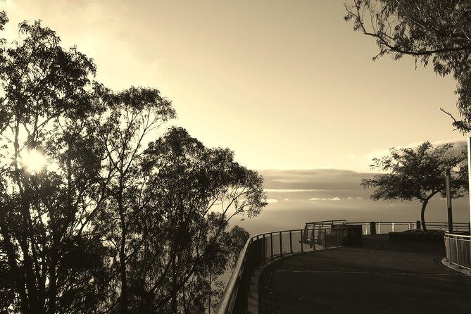 private-half-day-morning-4x4-tour-from-funchal