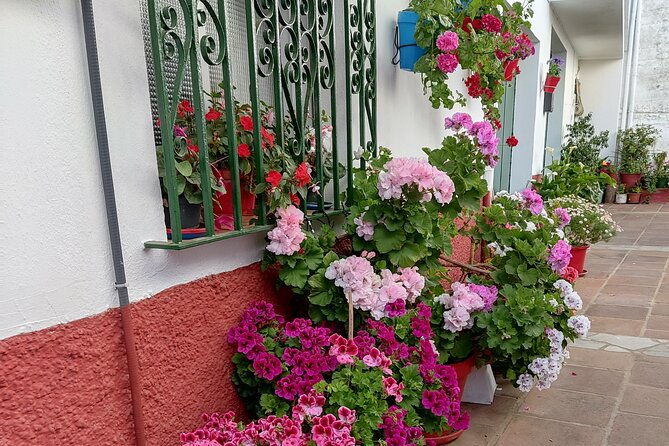 private-half-day-tour-of-ronda-and-the-white-villages-with-native