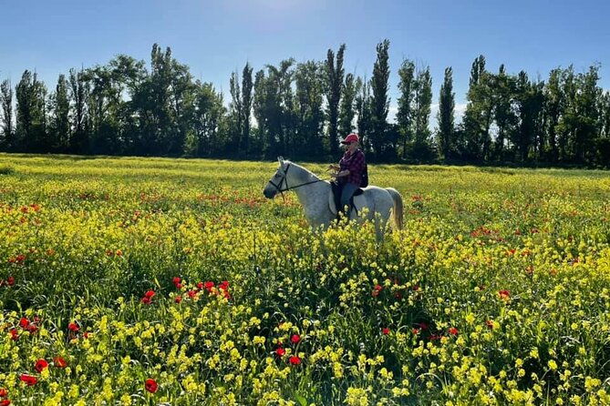 private-horse-ridding-tour