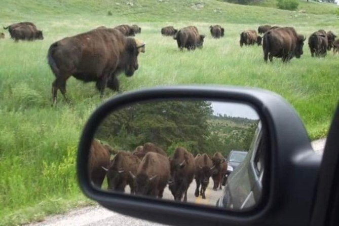 private-mt-rushmore-crazy-horse-custer-state-park-monument-tour