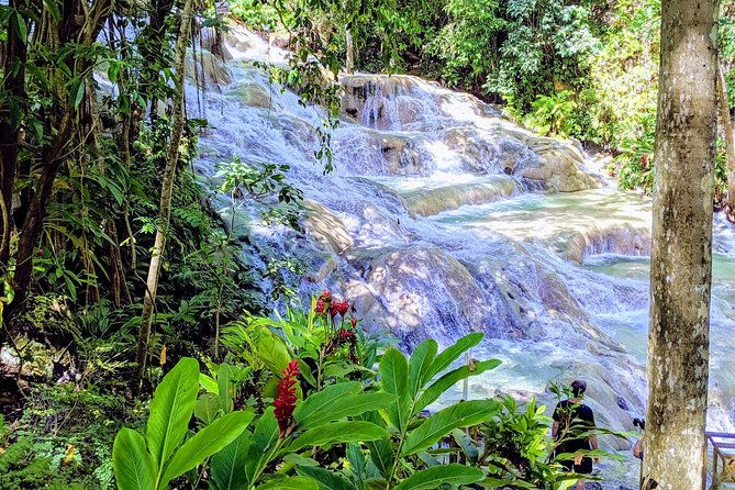 private-ocho-rios-highlight-tour