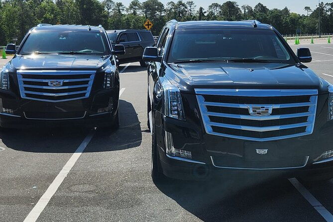 private-oneway-pick-up-from-port-canaveral-to-orlando-int-airport