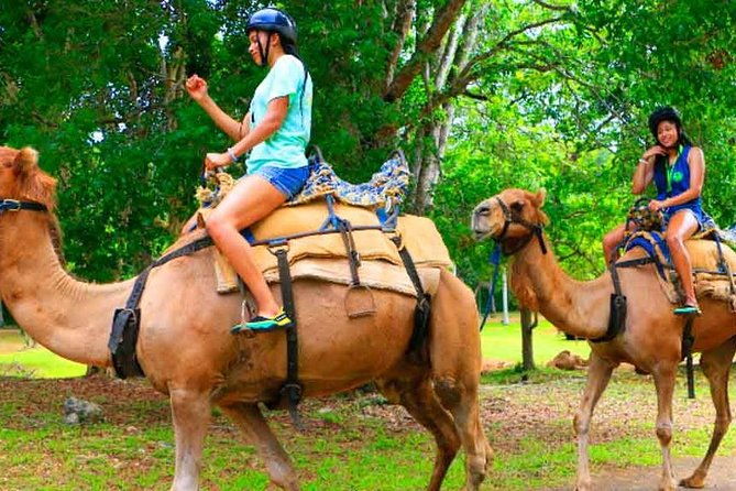 private-round-trip-transfer-to-yaaman-adventure-park-ocho-rios