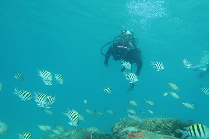 private-scuba-diving-expert-led-excursion-training-with-tour
