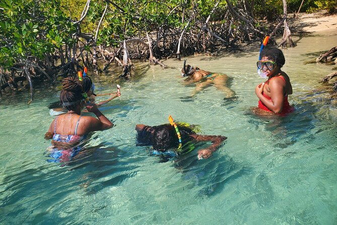 private-snorkeling-and-biobay-boat-tour-from-san-juan