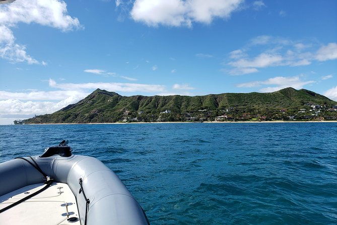 private-snorkeling-and-wildlife-on-the-adventure-boat