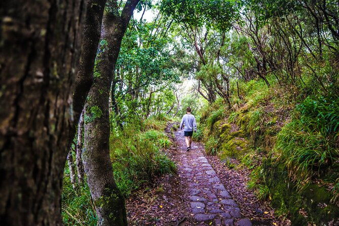 private-sunrise-pico-do-areeiro-half-day-with-easy-levada-walk