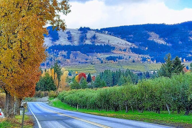 private-tour-at-the-hood-columbia-loop-timberline-orchards-and-waterfalls