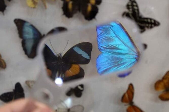 private-tour-at-the-zoo-and-science-forest-in-manaus