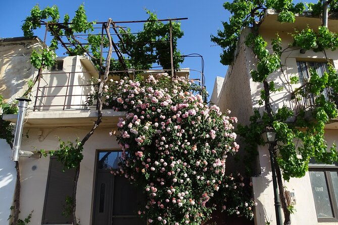 private-tour-authentic-villages-of-lasithi-olive-oil-and-wine