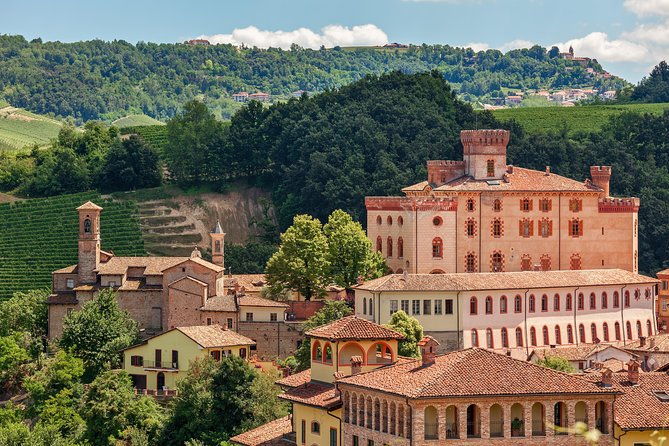 private-tour-barolo-wine-tasting-in-langhe-area-from-torino