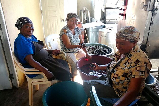 private-tour-cocoa-coffee-local-market-and-cigars-factory