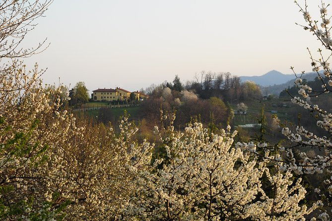 private-tour-from-turin-full-day-langhe-region-with-its-colors-and-flavors